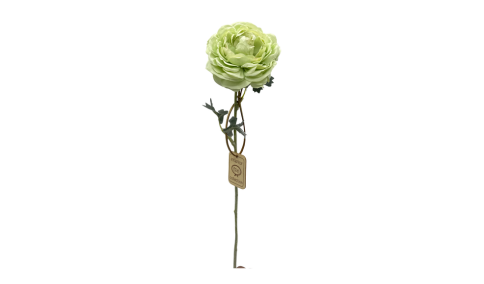 FIORI SCIOLTI