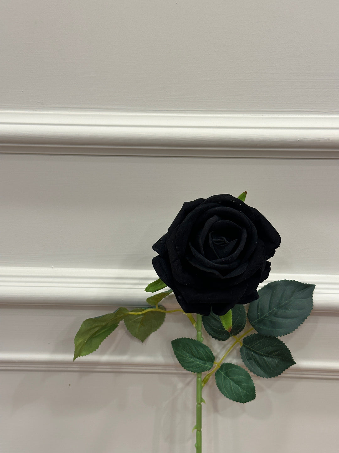 ROSA-NERA-IN VELLUTO-stelo H70cm