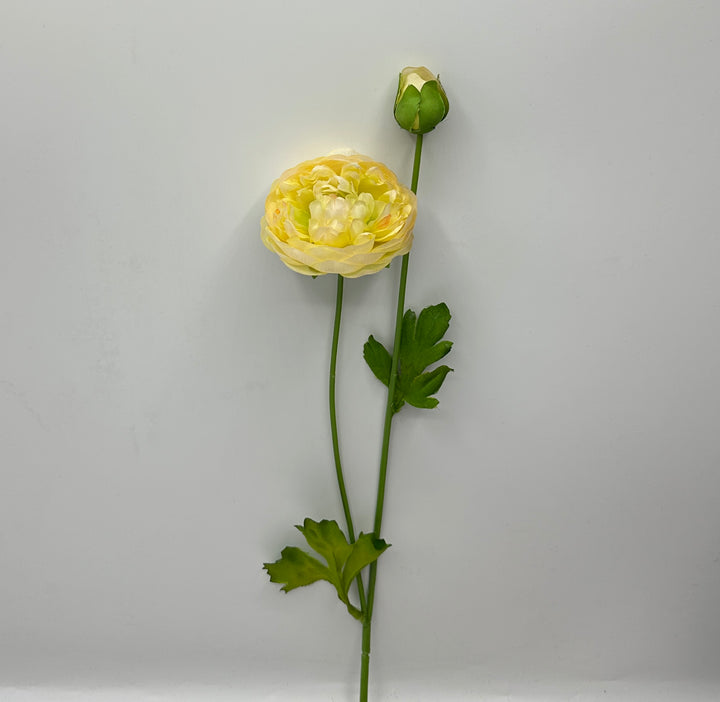 RANUNCOLO-SINGOLO CON BOCCIOLO-H53cm-GIALLO