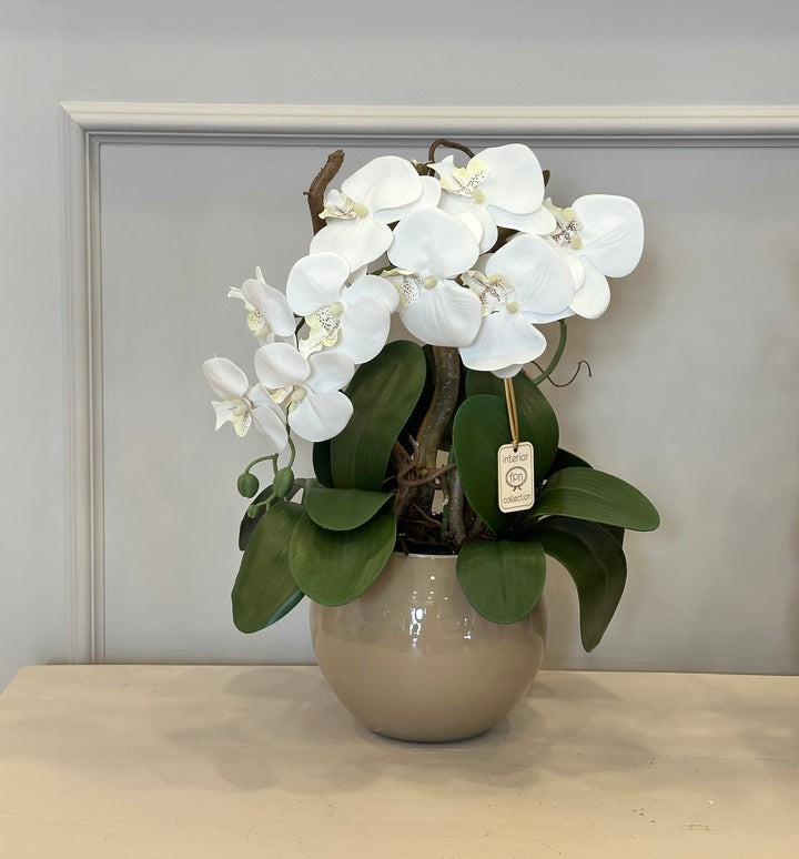 ORCHIDEA-ARTIFICIALE-REAL TOUCH-CON VASO COLOR TORTORA-A- 1 RAMO- H48cm