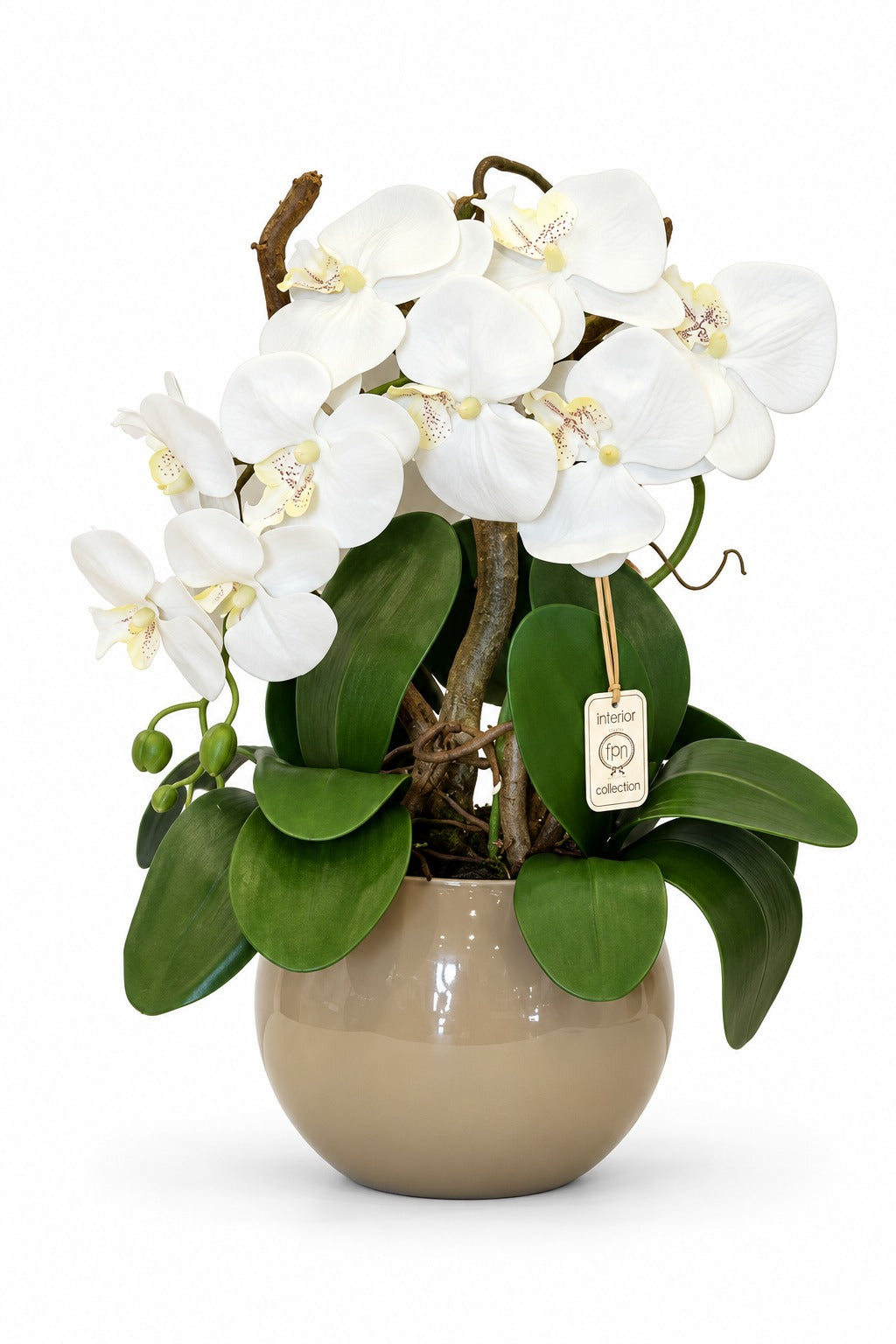 ORCHIDEA-ARTIFICIALE-REAL TOUCH-CON VASO COLOR TORTORA-A- 1 RAMO- H48cm