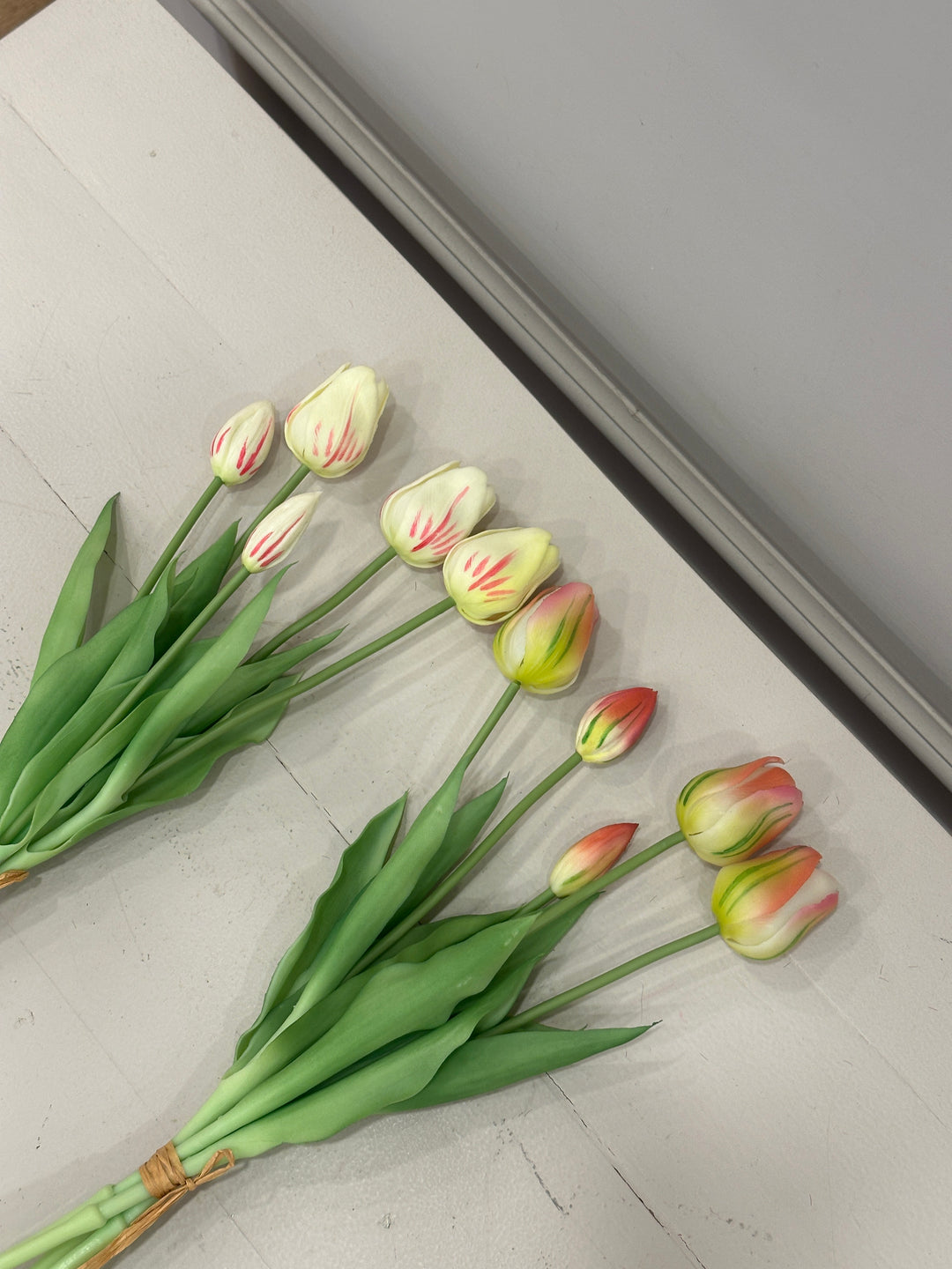 TULIPANI 2026-COLORAZIONI VARIEGATE-H40cm