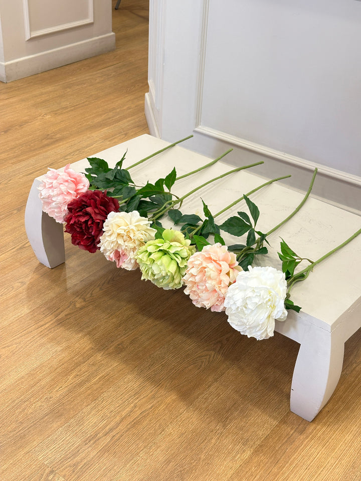 PEONIE-H70cm-SAGOMABILI-DISPONIBILE IN 6 COLORAZIONI.
