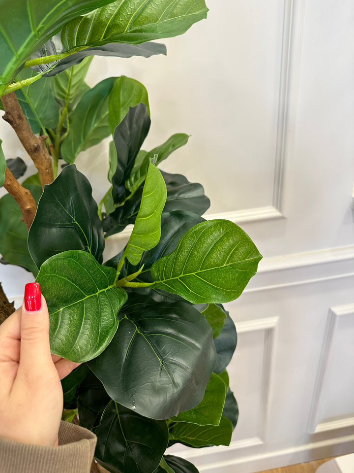 Ficus-lyrata-artificiale realistico-H180cm