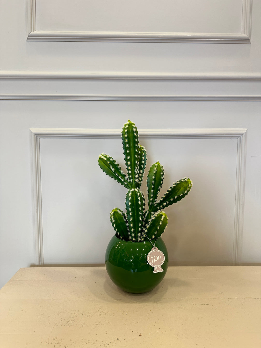 CACTUS-ARTIFICIALE-REAL TOUCH-H50cm