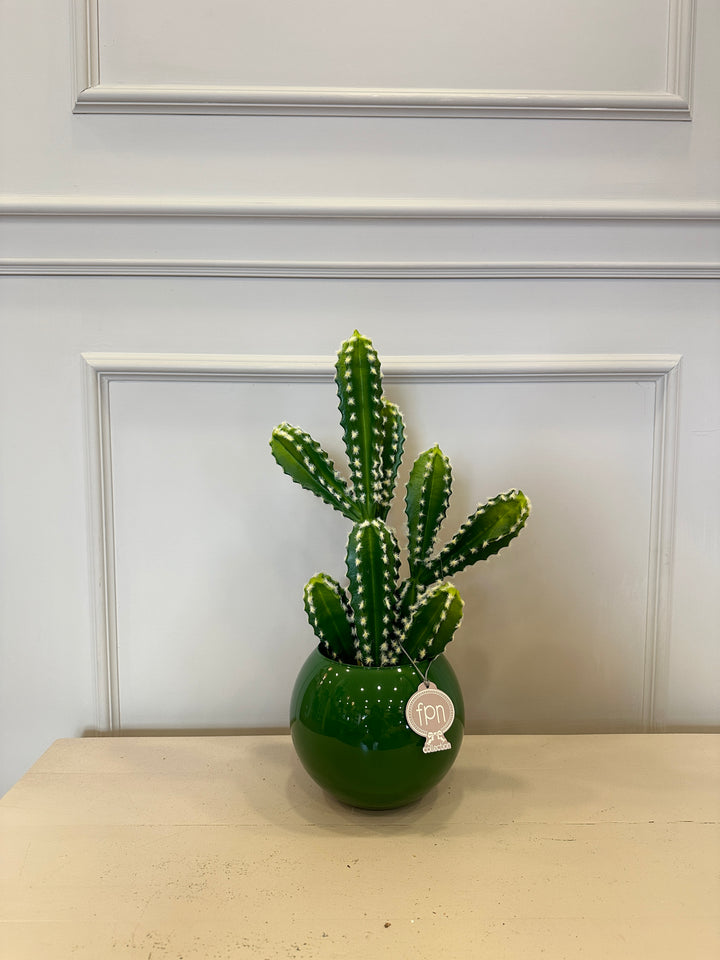 CACTUS-ARTIFICIALE-REAL TOUCH-H50cm