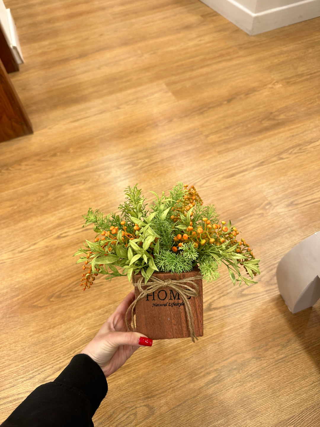 PIANTINE-GRASSE-ARTIFICIALI-20cm x 20