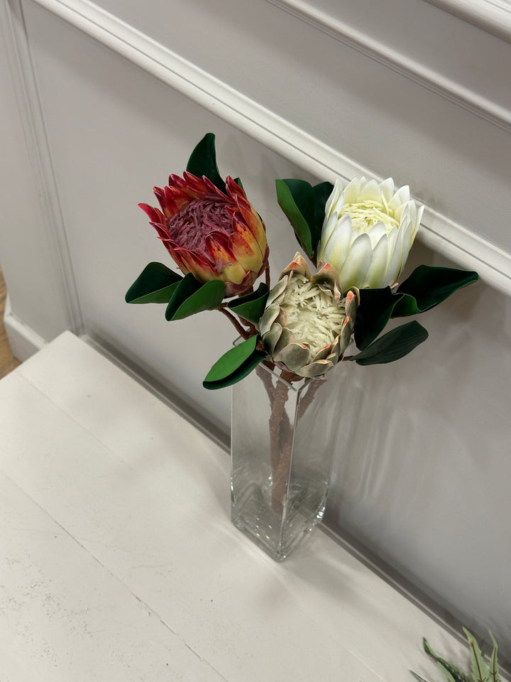 PROTEA-REAL TOUCH-H 50cm