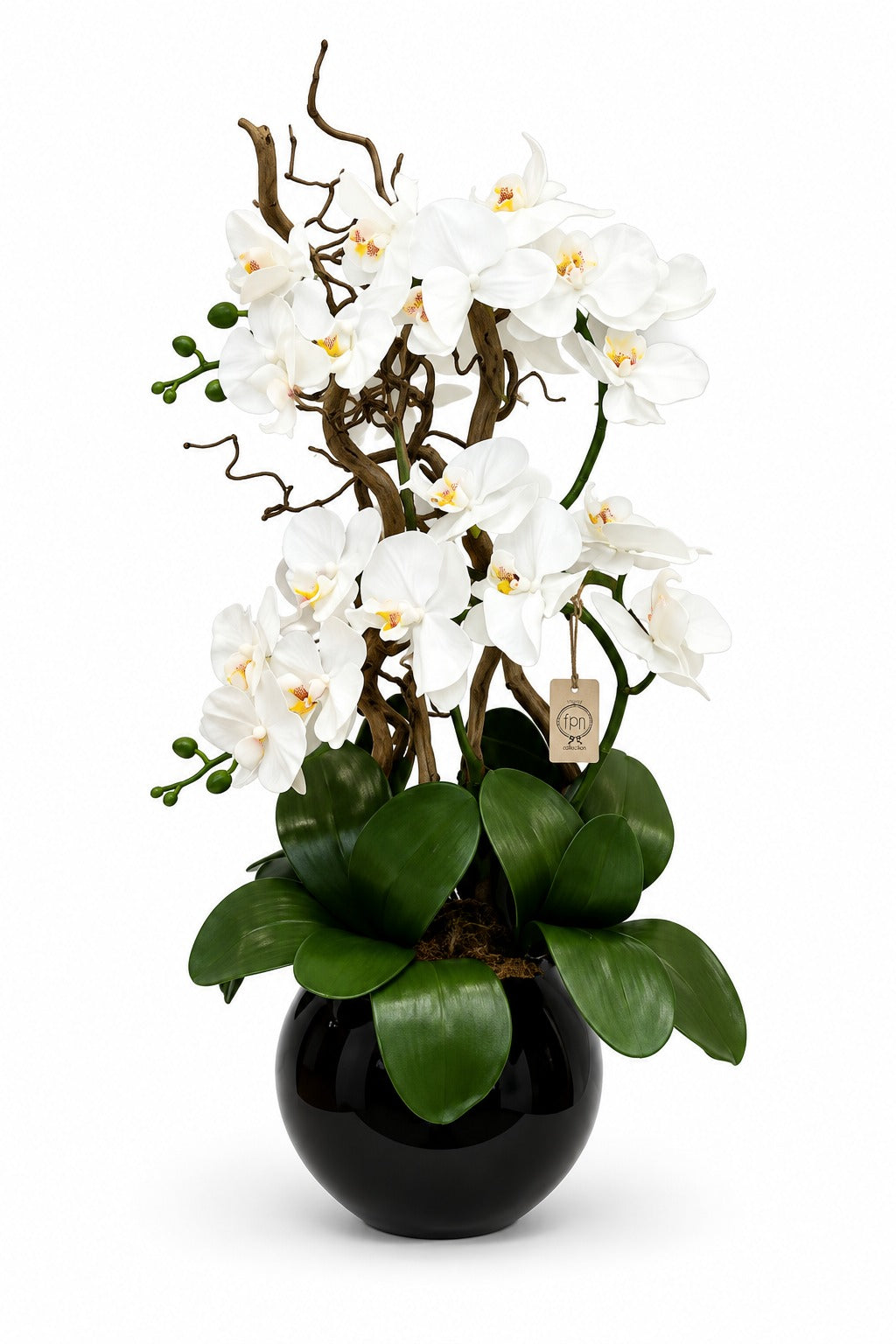 ORCHIDEA-ARTIFICIALE-REAL TOUCH-Con vaso in vetro nero -H65cm