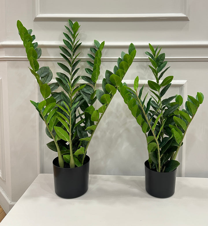 ZAMIFOLIA-artificiale real touch disponibile in due dimensioni.