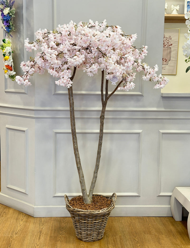 ALBERO-DI PESCO-ROSA CIPRIA-H165cm