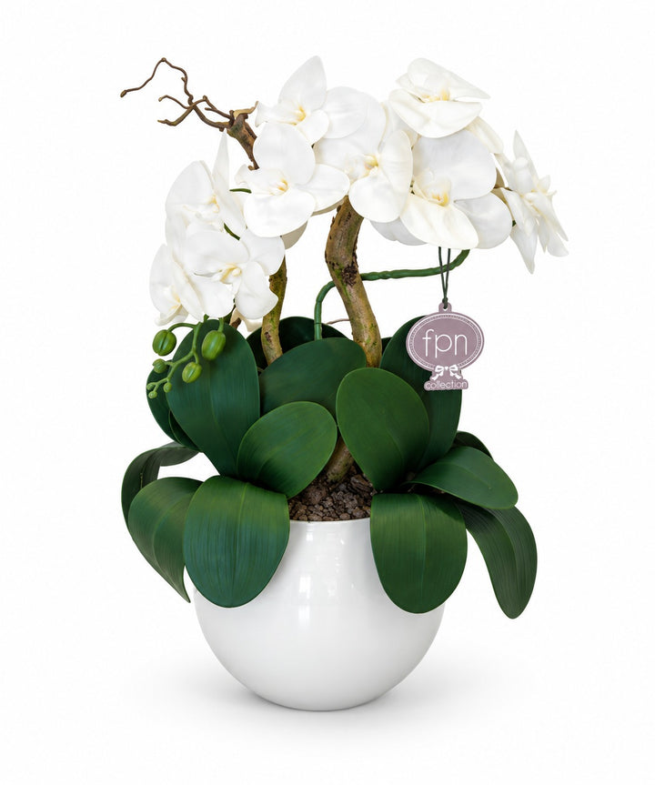 ORCHIDEA-ARTIFICIALE-REAL TOUCH-CON VASO COLOR BIANCO-A- 1 RAMO- H48cm