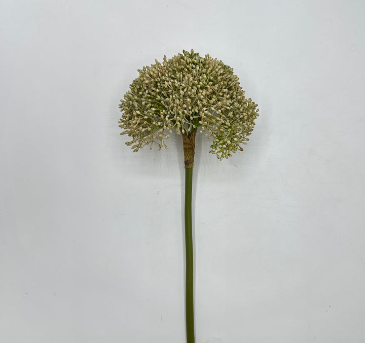 SEDUM-ALLIUM-MAGNIFICO-ELEMENTO-IN-OGNI-FASCIO DI FIORI-COLORE-GREEN/WHITE-H65cm