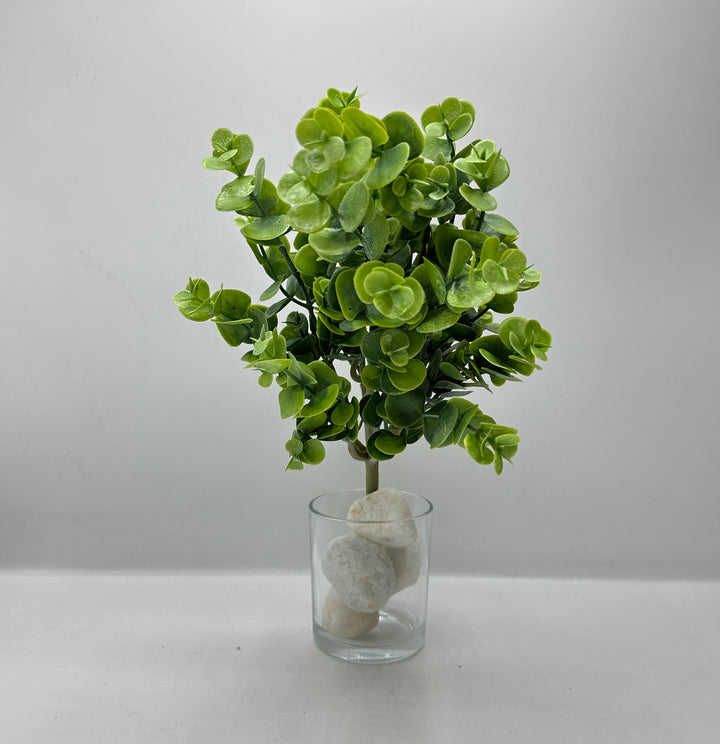 CIUFFO EUCALIPTUS GOMMATO  VERDE
