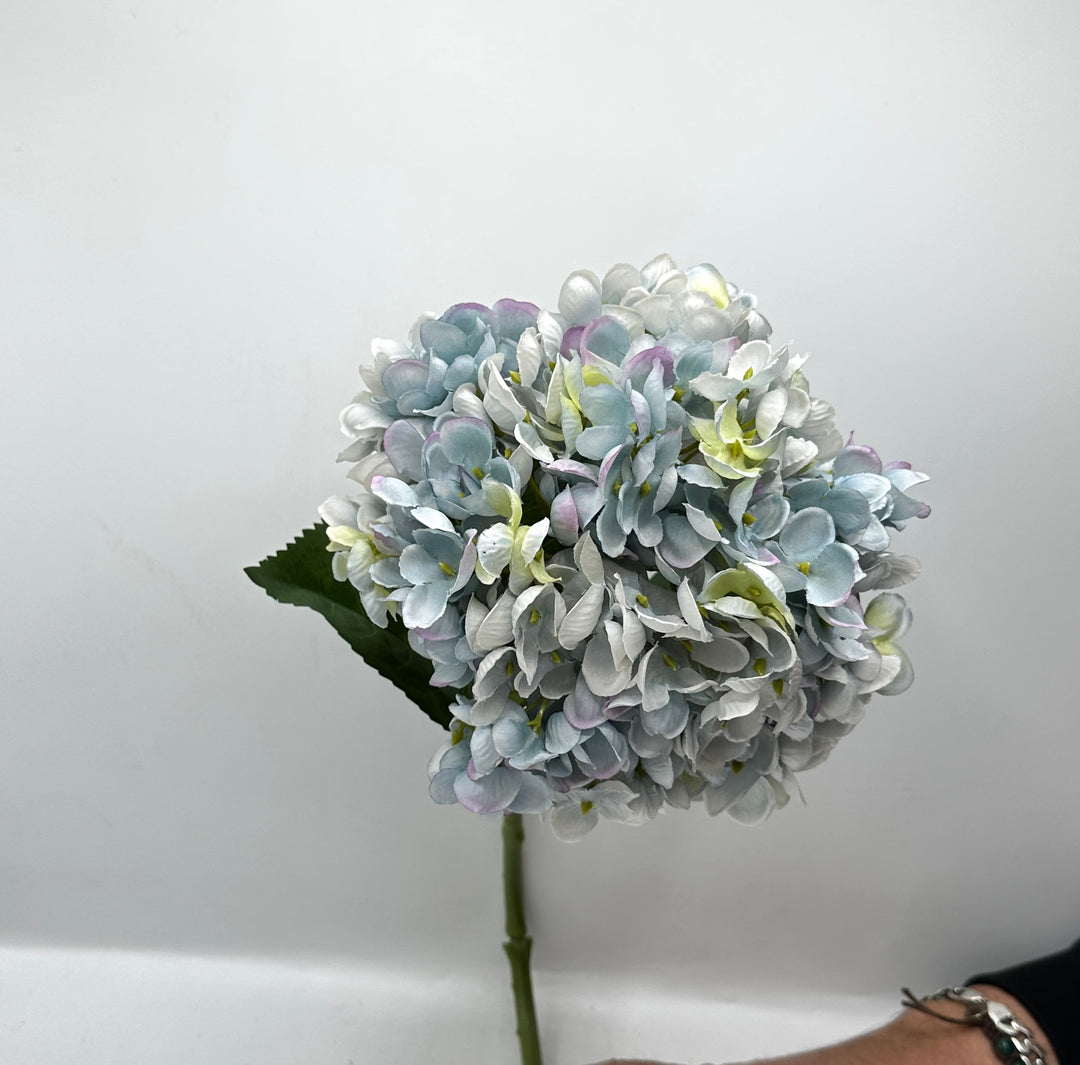 ORTENSIA SINGOLA- CELESTE - H60cm