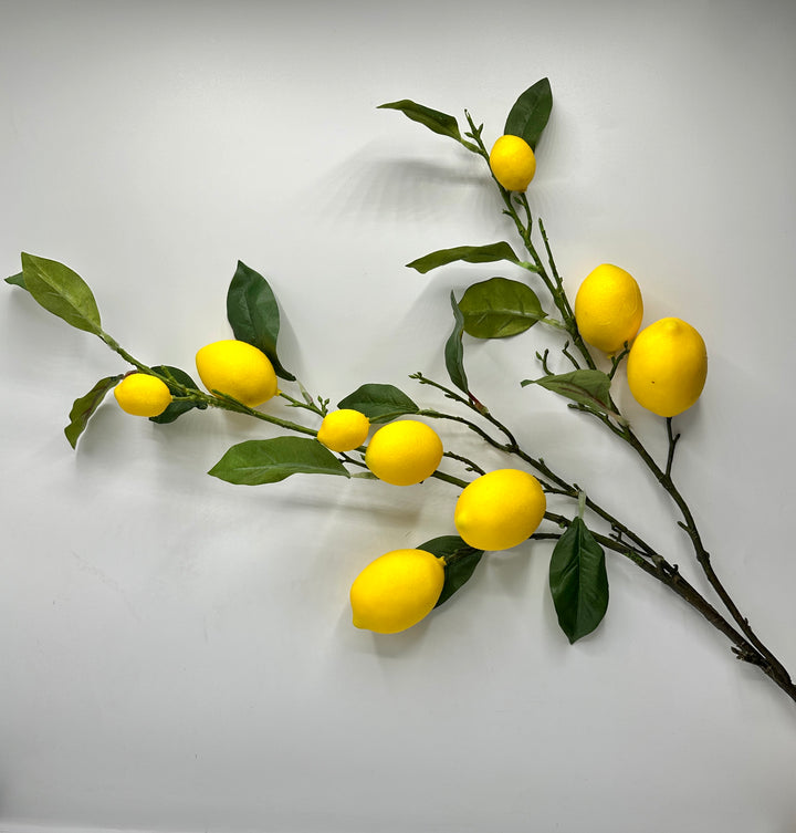 RAMO LIMONI- 9 LIMONI-MODELLO AMALFI-H65cm