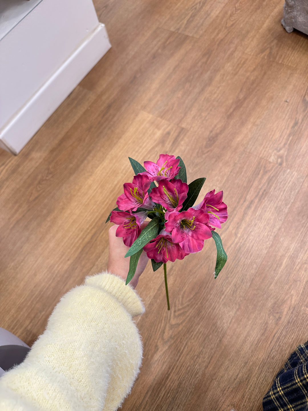 Astromelia-colore fucsia-H45cm NB: il vaso non è in vendita