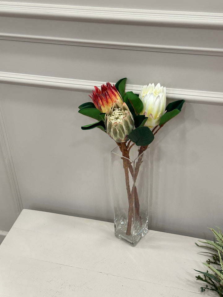 PROTEA-REAL TOUCH-H 50cm