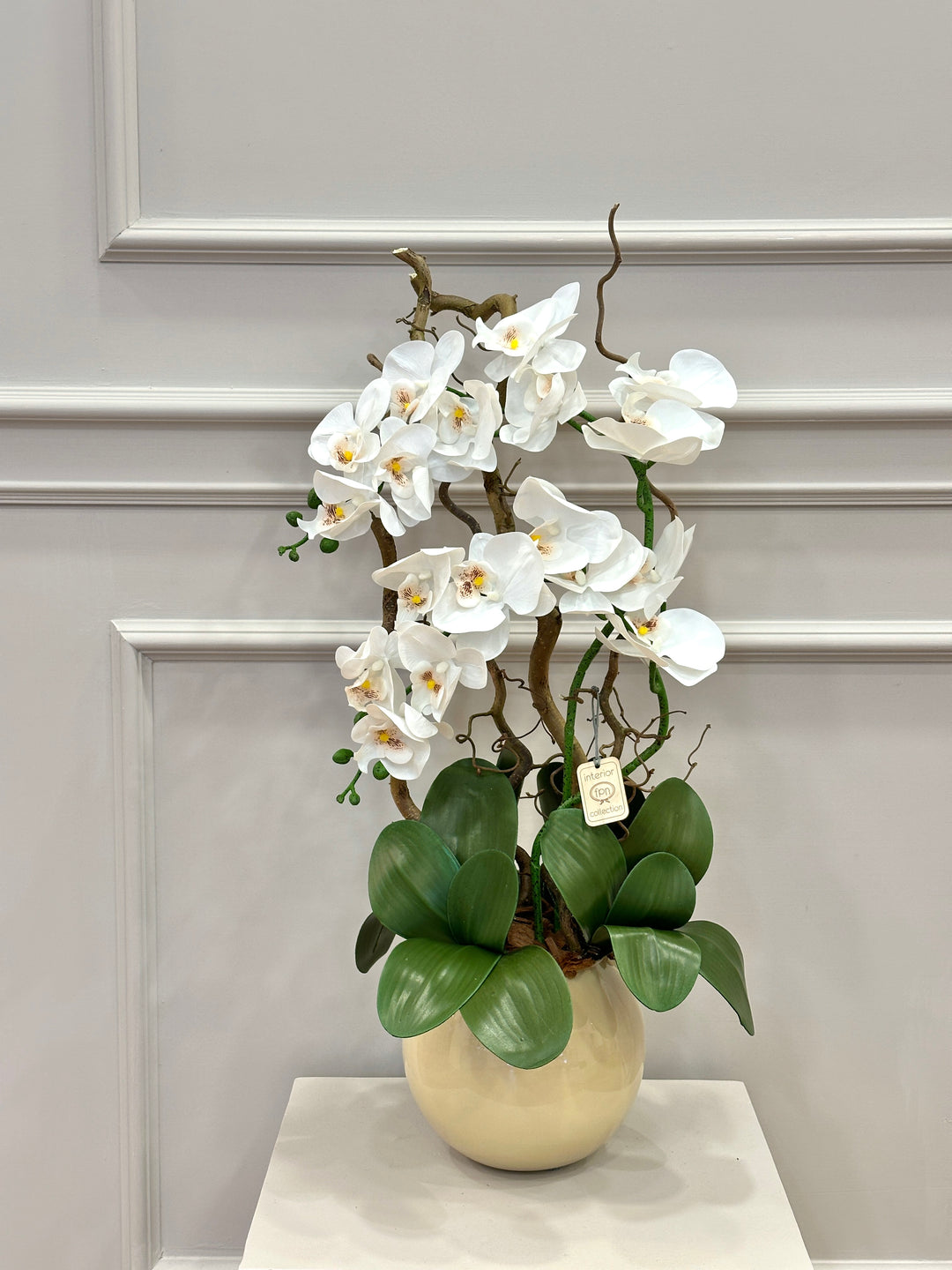 ORCHIDEA-CON VASO COLOR BEIGE - ARTIFICIALE- REAL TOUCH-H65cm