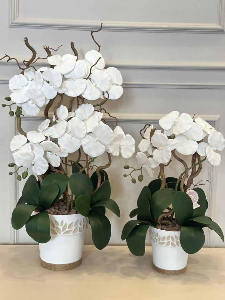 ORCHIDEA-ARTIFICIALE-REAL TOUCH-disponibile in due misure- composta con vaso in policarbonato come in foto