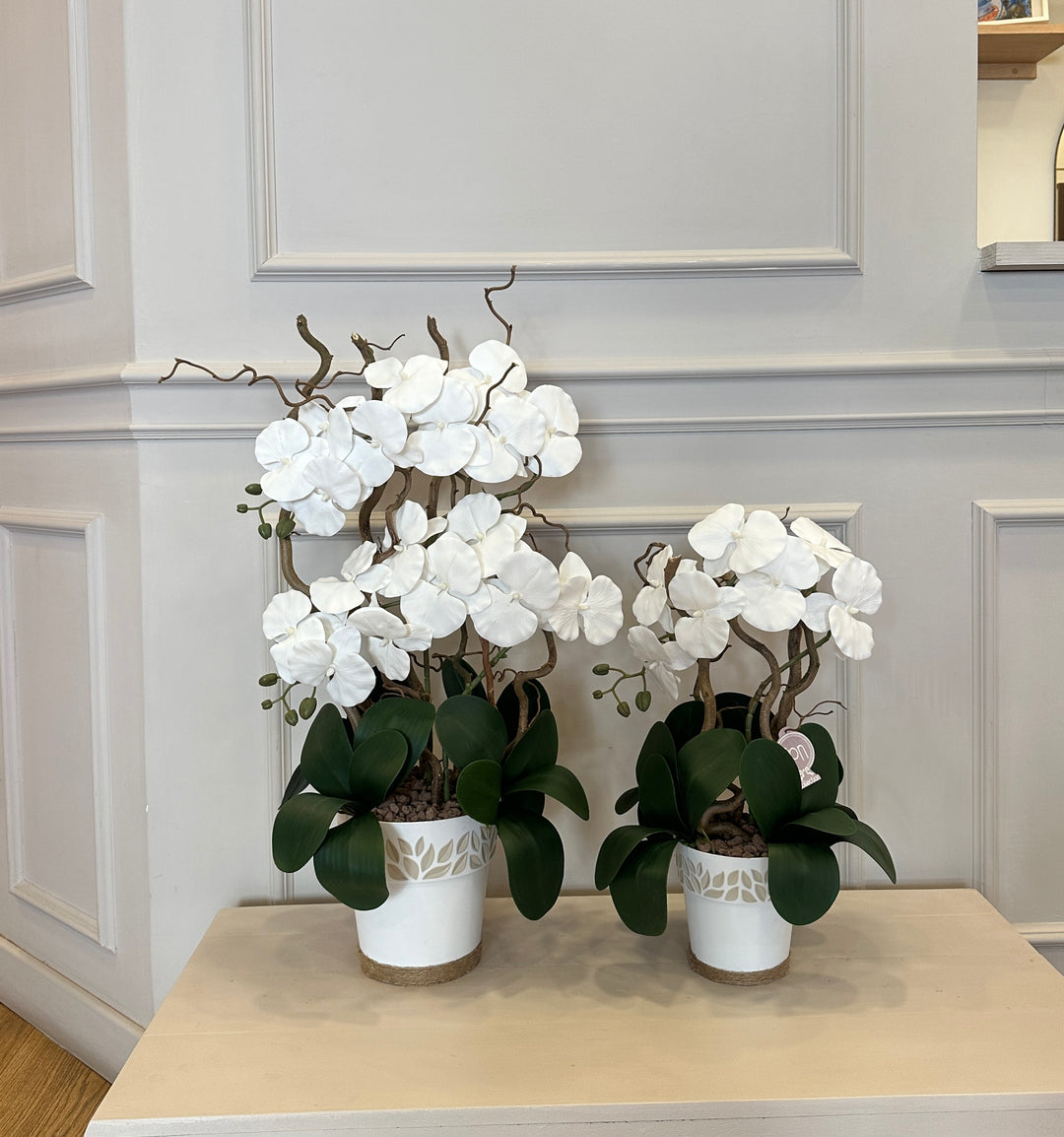 ORCHIDEA-ARTIFICIALE-REAL TOUCH-disponibile in due misure- composta con vaso in policarbonato come in foto