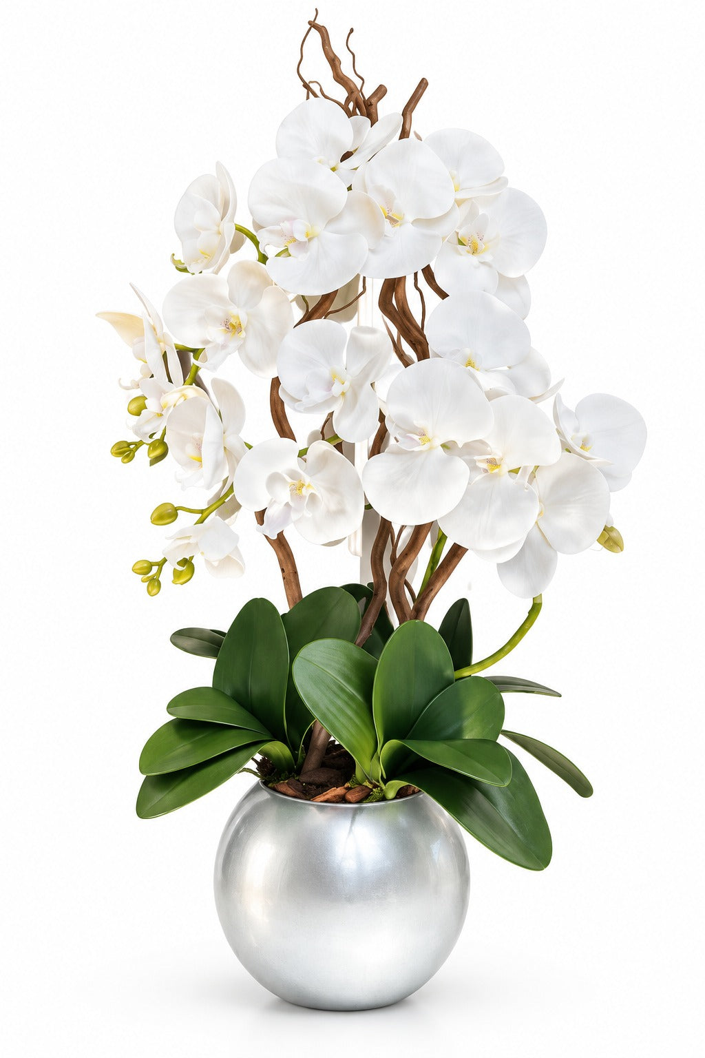 ORCHIDEA-CON VASO ARGENTO-ARTIFICIALE-REAL TOUCH-H65cm