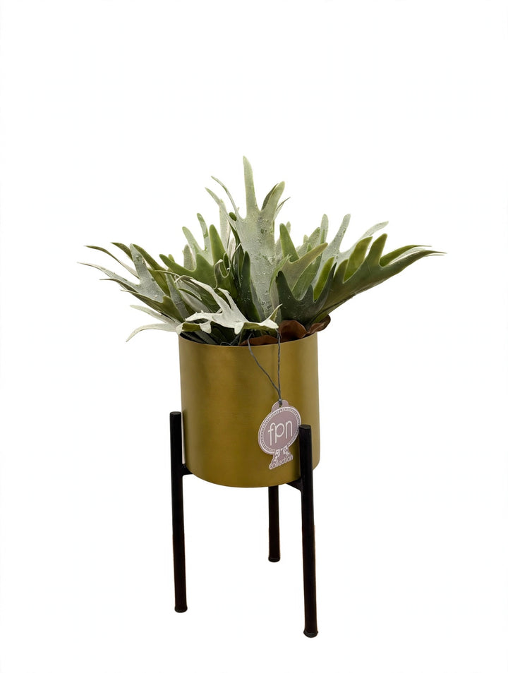 PLATICERIA-ARTIFICIALE-REAL TOUCH-COMPOSTA COME IN FOTO CON VASO SOTTOPIANTA  DISPONIBILE IN 3 COLORAZIONI-H40cm