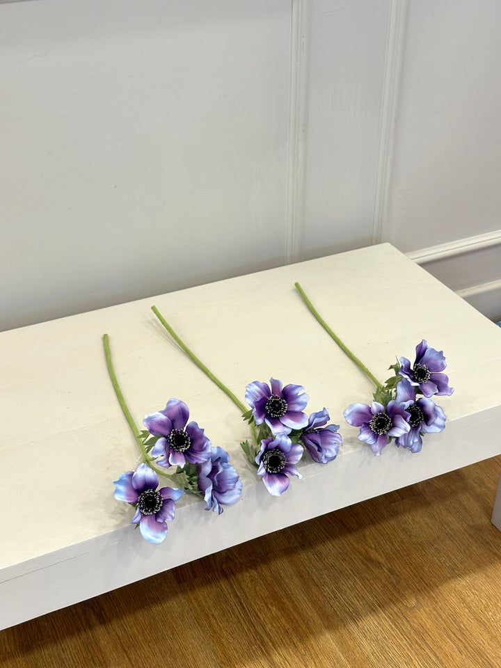 ANEMONE-SFUMATURE VIOLA-H50cm