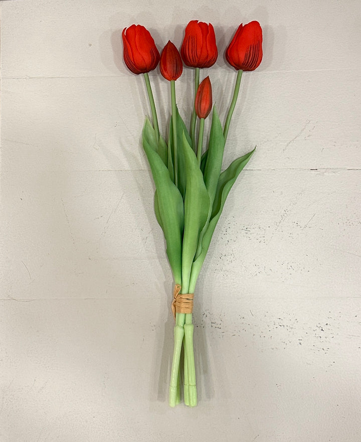 TULIPANI 2026-DISPONIBILI IN 11 COLORAZIONI-H40cm