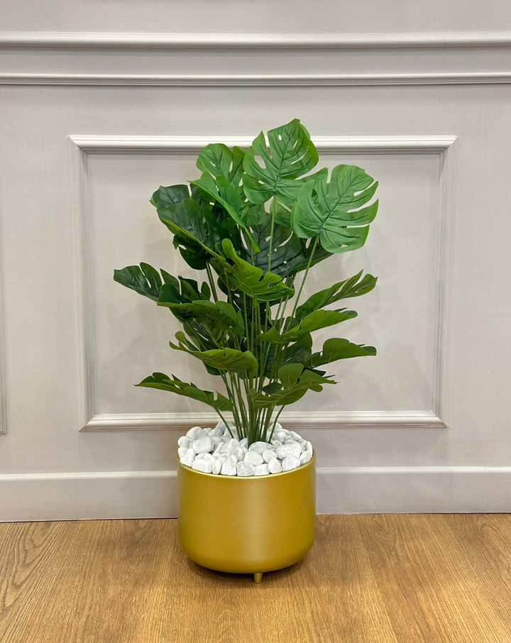 PIANTE-ARTIFICIALE-MONSTERA-CON VASO ORO- CON FOGLIE REAL TOUCH-H85cm