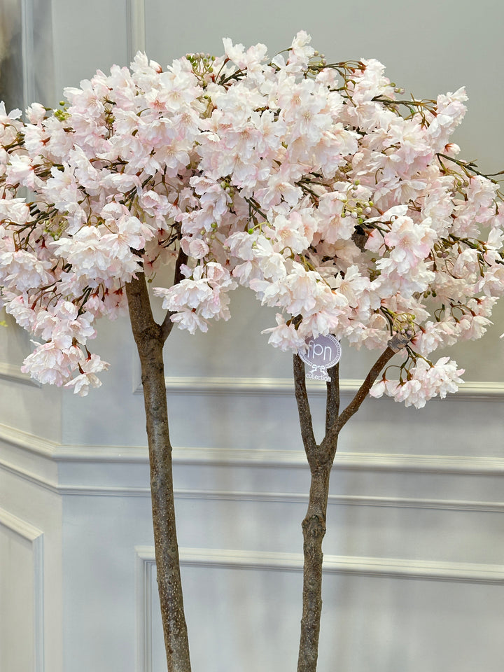 ALBERO-DI PESCO-ROSA CIPRIA-H165cm