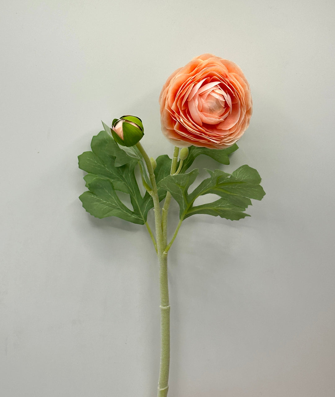 RANUNCOLI-CON STELO FLOCCATO VEROSIMILE-CON FOGLIE VELLUTATE- H50cm.