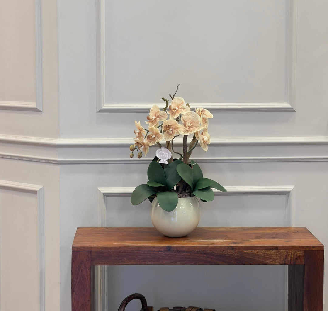 ORCHIDEA-ARTIFICIALE-REAL TOUCH-BEIGE E TORTORA-CON VASO COLOR BEIGE-A- 1 RAMO- H48cm