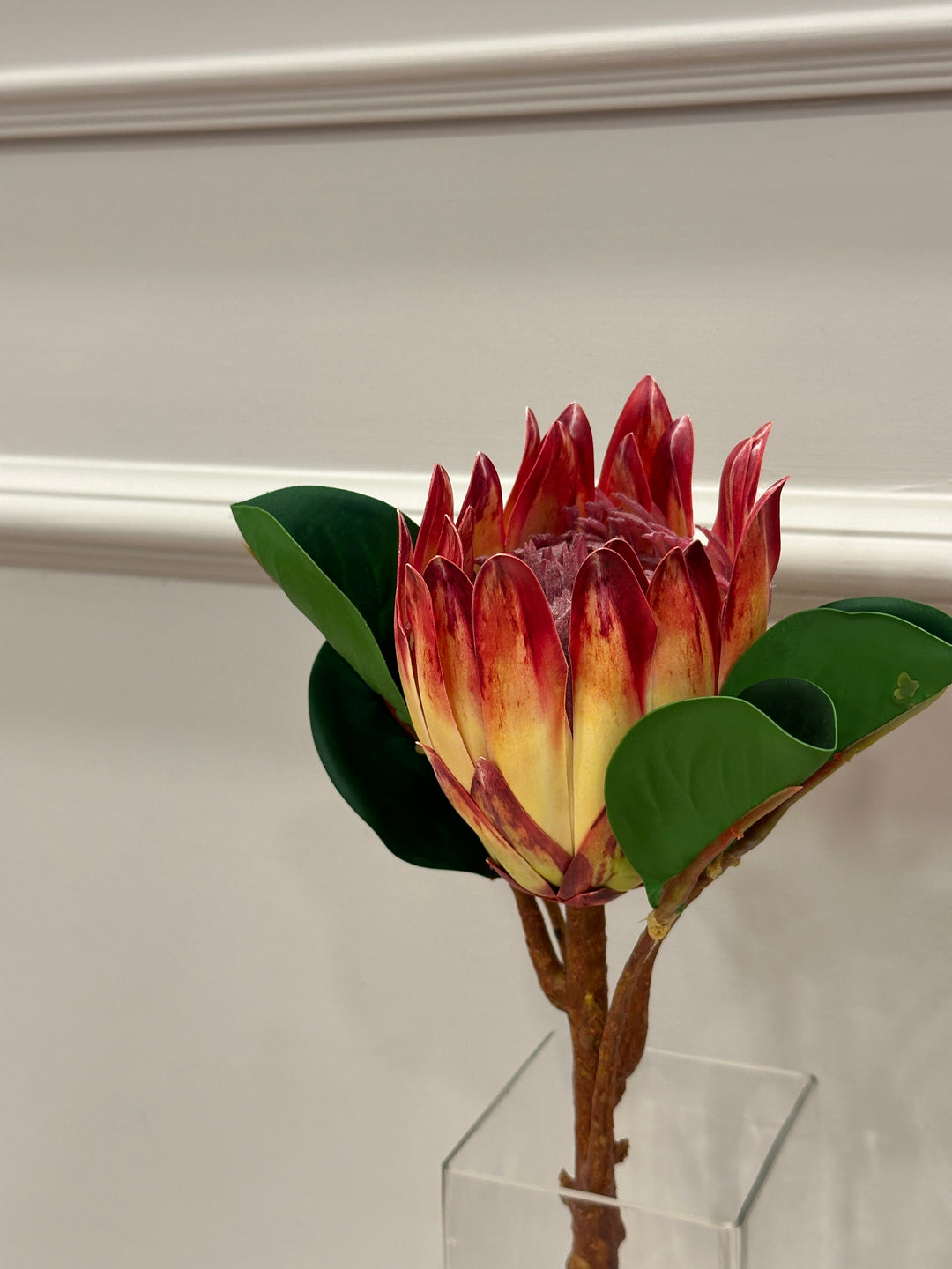 PROTEA-REAL TOUCH-H 50cm