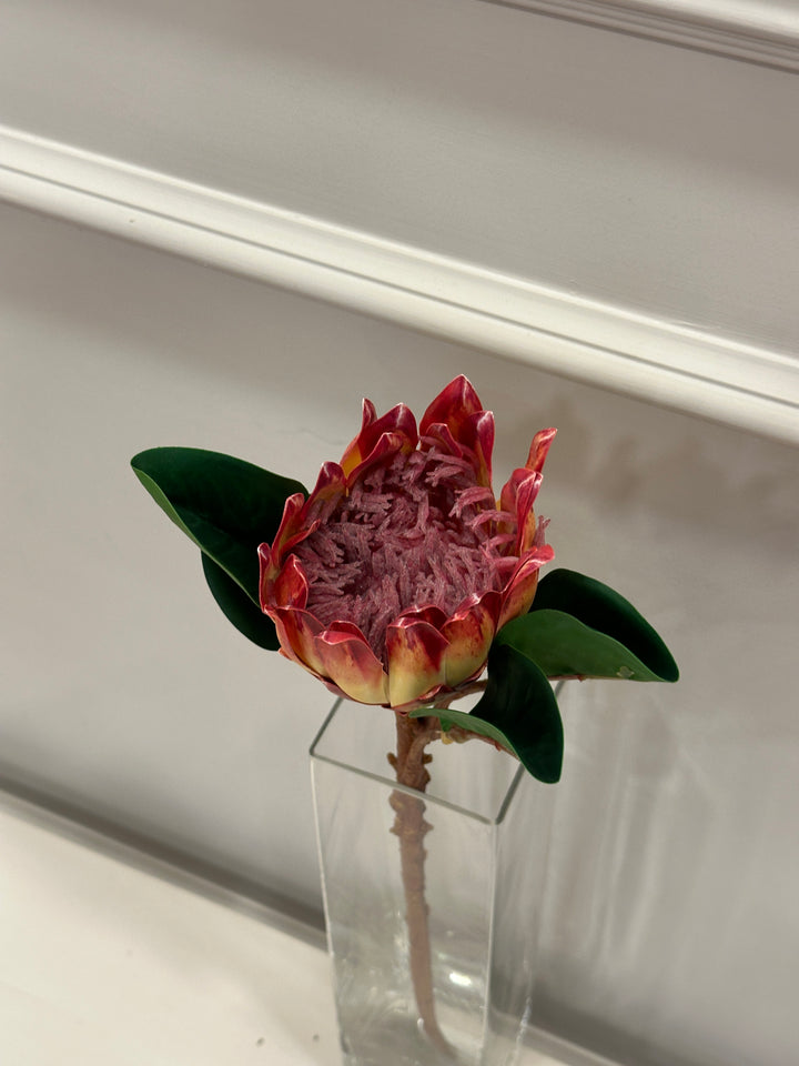 PROTEA-REAL TOUCH-H 50cm