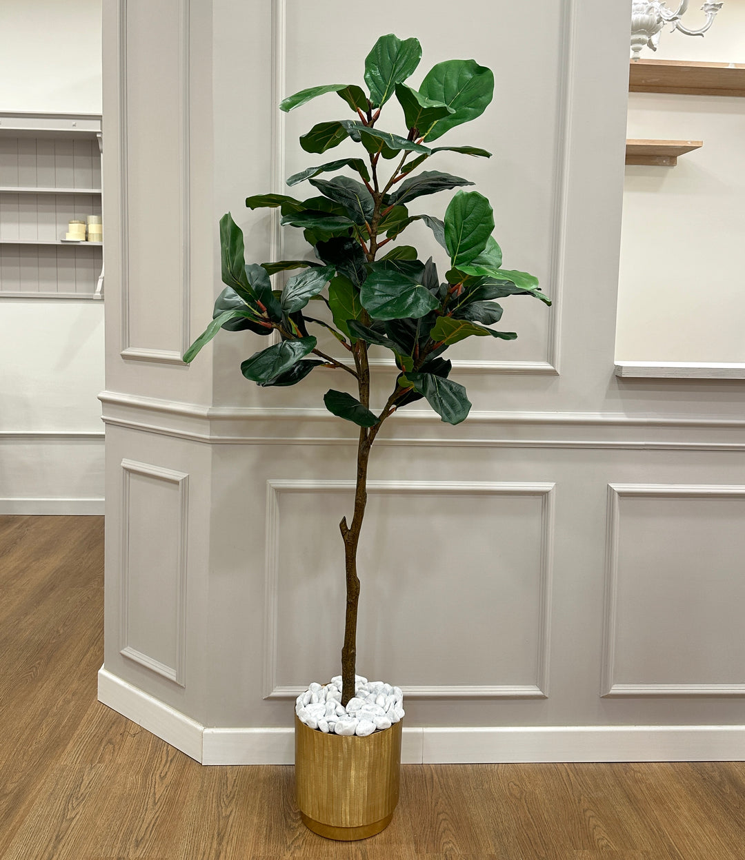 PIANTA-ARTIFICIALE-FICUS-LYRATA-H1.80 CON FOGLIA SUCCULENTA.