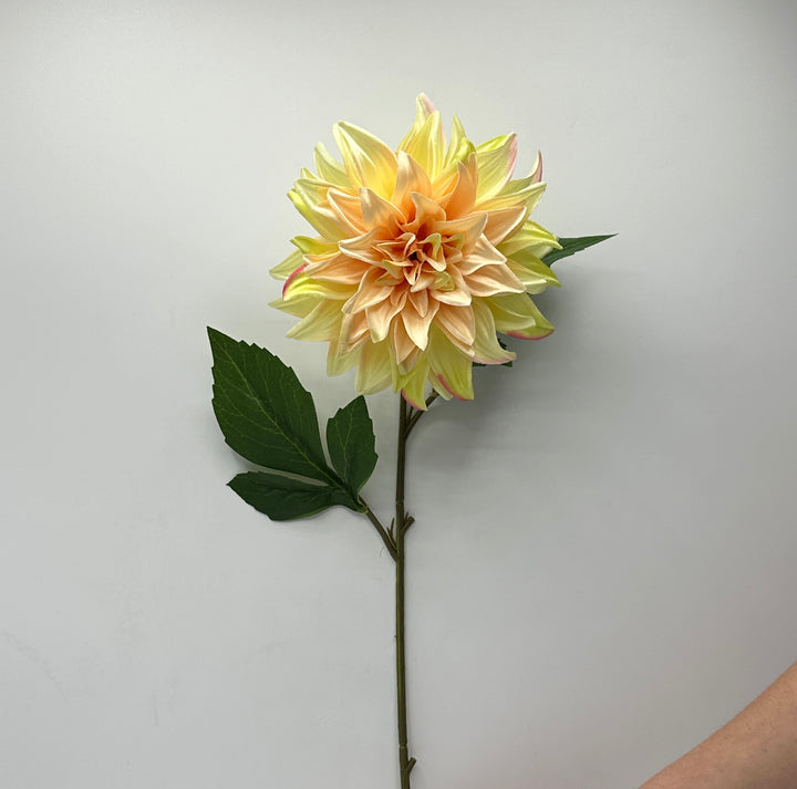 DALIA-COLORI PASTELLO-FRESCHEZZA D’ESTATE-H40cm