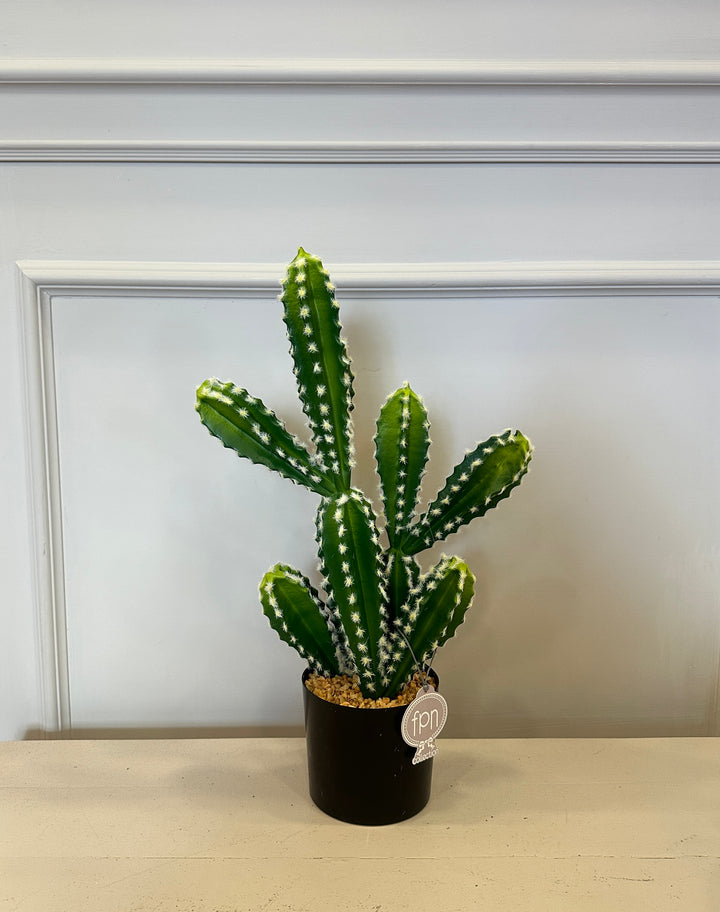 CACTUS-ARTIFICIALE-REAL TOUCH-H50cm