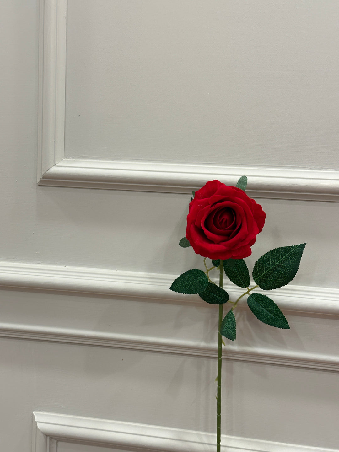 ROSA-ROSSA-IN VELLUTO-H70cm