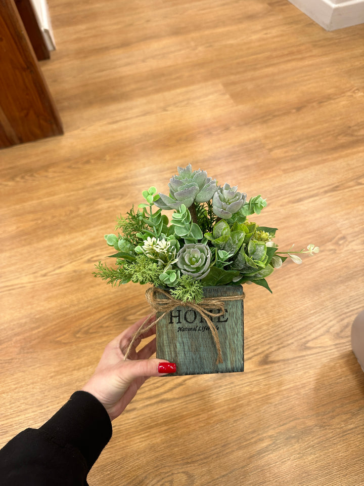 PIANTINE-GRASSE-ARTIFICIALI-20cm x 20