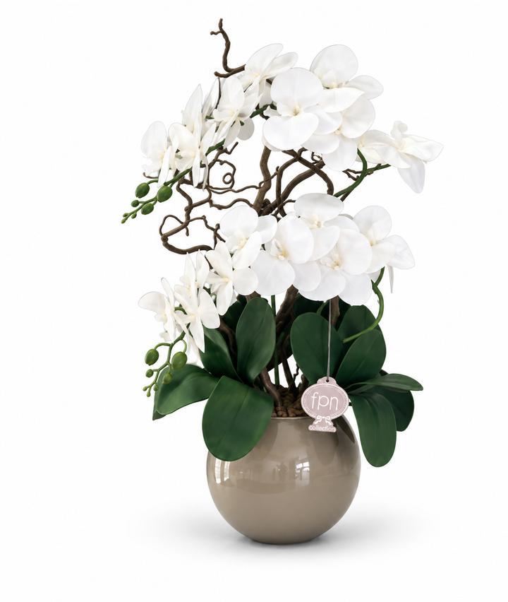 ORCHIDEA-CON VASO TORTORA -ARTIFICIALE-REAL TOUCH-H65cm
