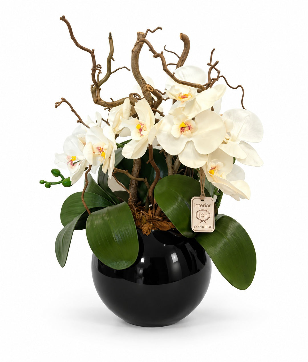ORCHIDEA-ARTIFICIALE-REAL TOUCH-CON VASO NERO-A- 1 RAMO- H48cm