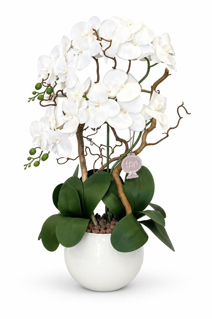 ORCHIDEA-CON VASO BIANCO-ARTIFICIALE-REAL TOUCH-H65cm