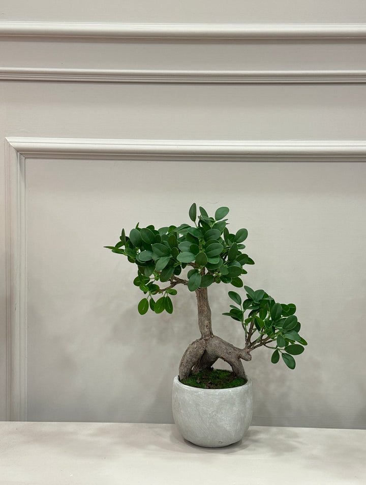 BONSAI-ARTIFICIALE-con vaso in ceramica-H40cm