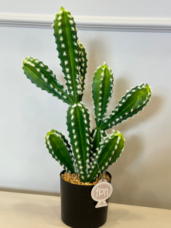 CACTUS-ARTIFICIALE-REAL TOUCH-H50cm