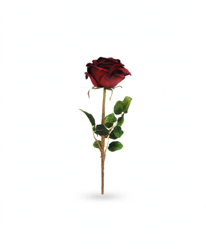 ROSA IN VELLUTO-BOURDEAUX-h68cm
