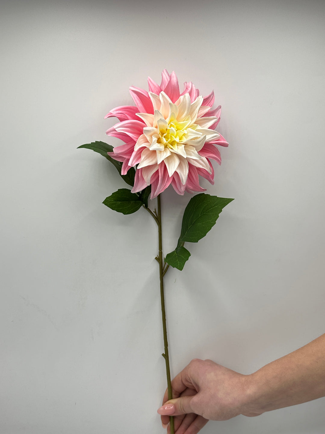 DALIA-COLORI PASTELLO-FRESCHEZZA D’ESTATE-ROSA-H40cm