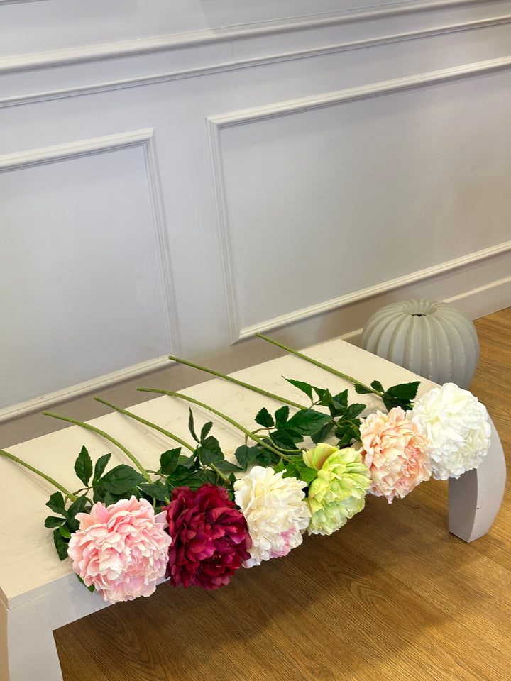 PEONIE-H70cm-SAGOMABILI-DISPONIBILE IN 6 COLORAZIONI.
