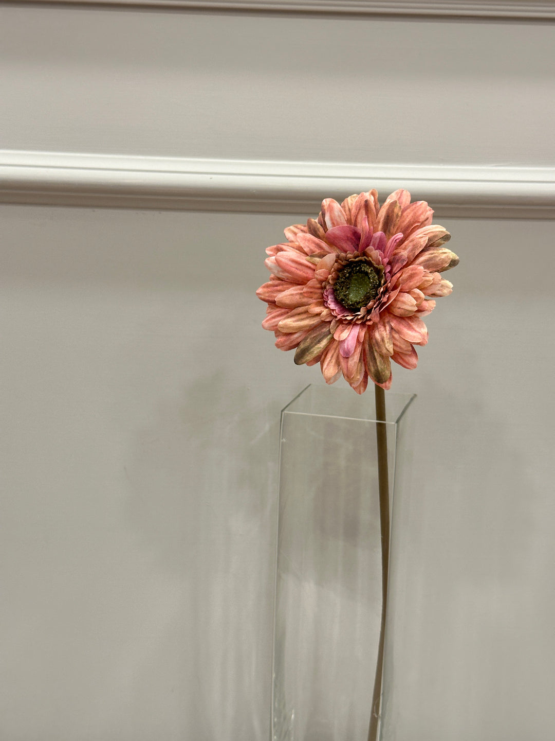 GERBERA-SFUMATURE DEL ROSA-H48cm- STELO SAGOMABILE.