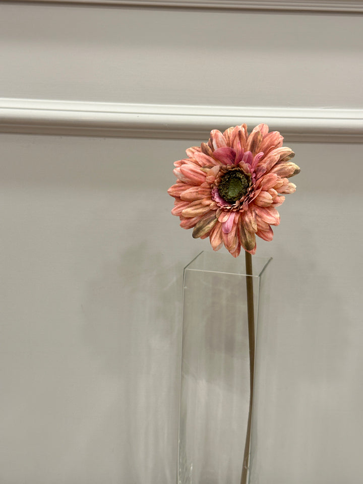 GERBERA-SFUMATURE DEL ROSA-H48cm- STELO SAGOMABILE.